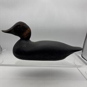 Very Rare Carved Early Mason? Hen Black Duck Decoy Glass Eyes - Primitive